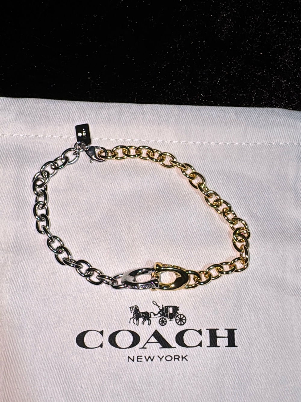 Coach Two-Tone Chain Bracelet - Silver & Gold